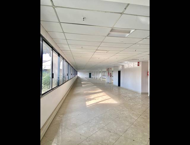 12,263M² WAREHOUSE TO LET IN WYNBERG